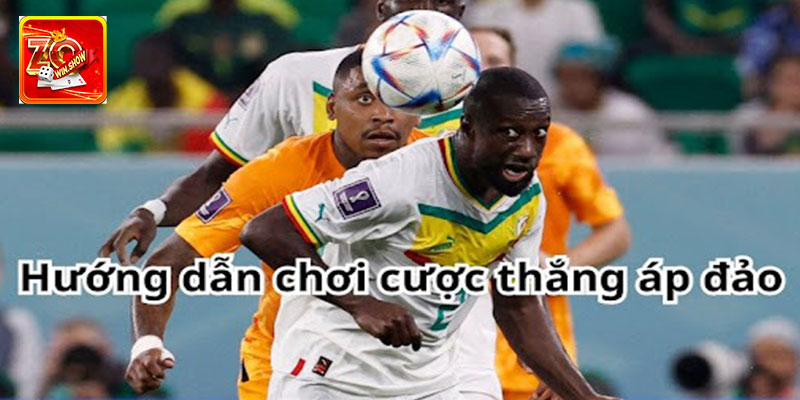 Kinh Nghiệm Soi Kèo Cược Thắng Áp Đảo Dễ Thắng Từ Dân Chuyên Bỏ túi kinh nghiệm soi kèo cược thắng áp đảo dễ thắng