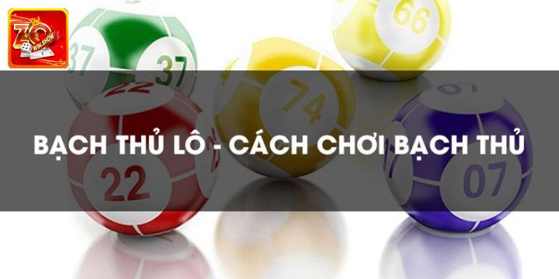 Bạch Thủ Lô Là Gì? Mẹo Hay Người Mới Đoán Trúng, Thưởng Cao Cách bắt bạch thủ lô bạch thủ thành viên mới