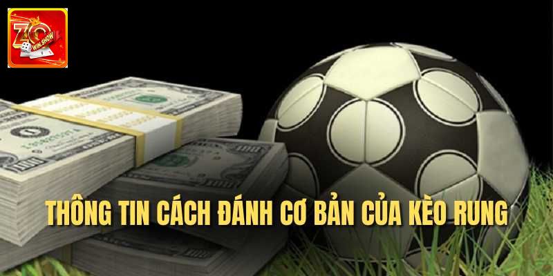 Kèo Rung: Thông Tin Cần Biết Cho Người Mới Nhập Cuộc Cách đọc và tham gia bắt kèo cho newbie