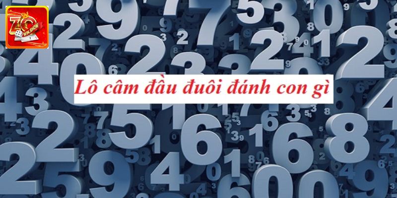 Đầu Đít Câm Đánh Lô Gì? Kinh Nghiệm Chơi Hiệu Quả Cao Thế nào là đầu đít câm?