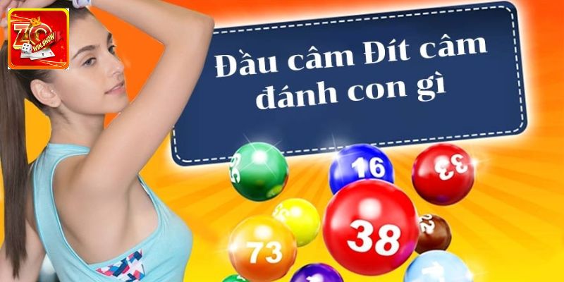 Đầu Đít Câm Đánh Lô Gì? Kinh Nghiệm Chơi Hiệu Quả Cao Lời khuyên cho newbie khi đầu tư đầu câm đít câm