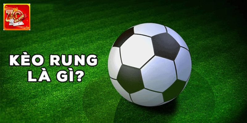 Kèo Rung: Thông Tin Cần Biết Cho Người Mới Nhập Cuộc Giải mã khái niệm kèo rung là gì?