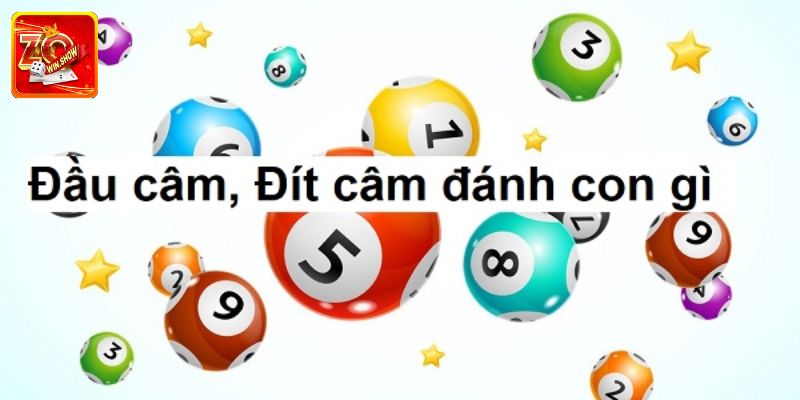 Đầu Đít Câm Đánh Lô Gì? Kinh Nghiệm Chơi Hiệu Quả Cao Giải mã đầu đít câm đánh lô gì hợp lý